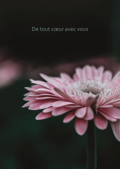 Carte De Tout Coeur Avec Vous Et Fleur Rose : Envoyer une 